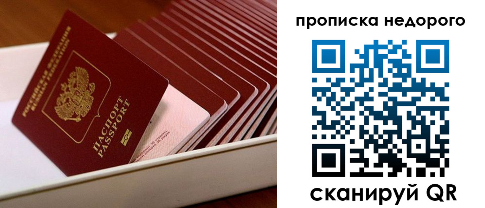 прописка паспорт в Камышлове